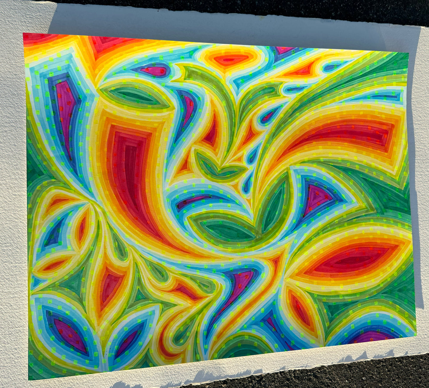 19x24