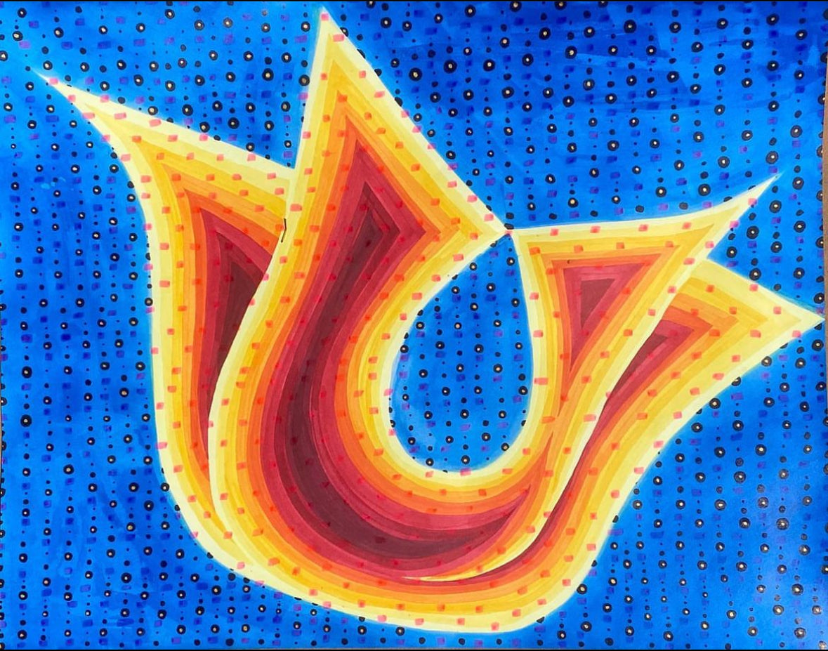 19x24